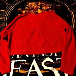 Torrid crop sweater top